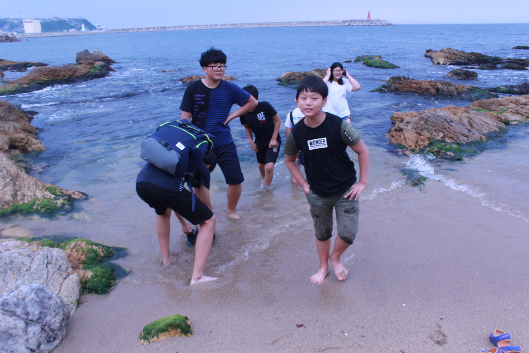 교육결과